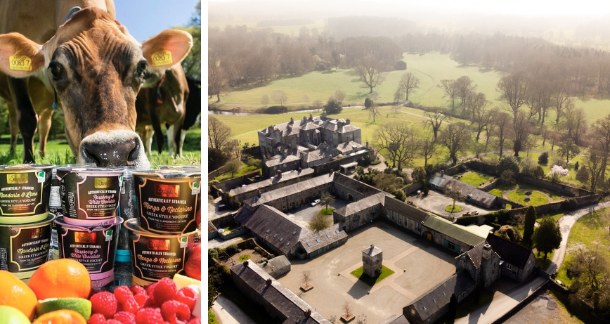 Clandeboye Yoghurt pictured with a cow, and a birds eye view of the Clandeboye Estate